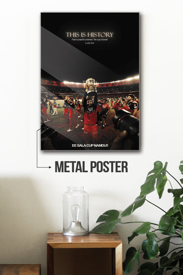 THIS IS HISTORY | RCB #4 | RCB POSTERS